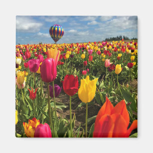 Aimant Colorful Tulip Field