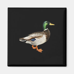 Aimant Colvert Canard Colvert Logo de poche Canards colve