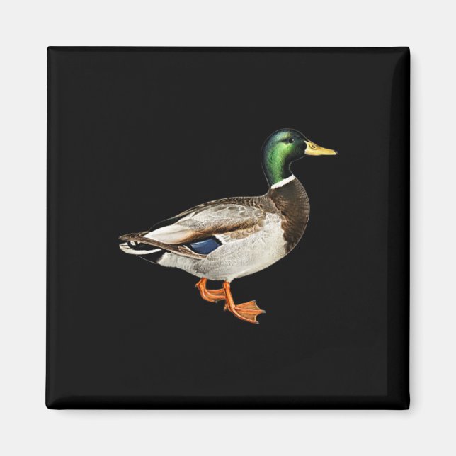 Aimant Colvert Canard Colvert Logo de poche Canards colve (Devant)