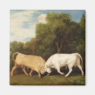 Aimant Combat de taureaux de George Stubbs  , 1786 (huile