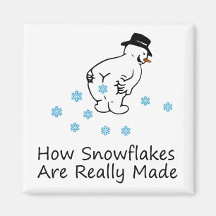 Aimant Comment les flocons de neige sont vraiment faits N