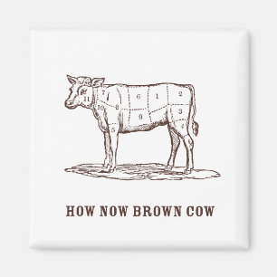 Aimant Comment maintenant Magnat de vache Brown