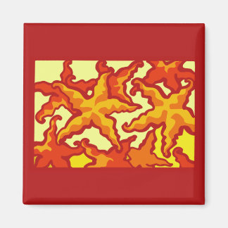 Aimant Composition de l'étoile