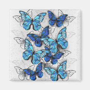 Aimant Composition de papillons blancs et bleus