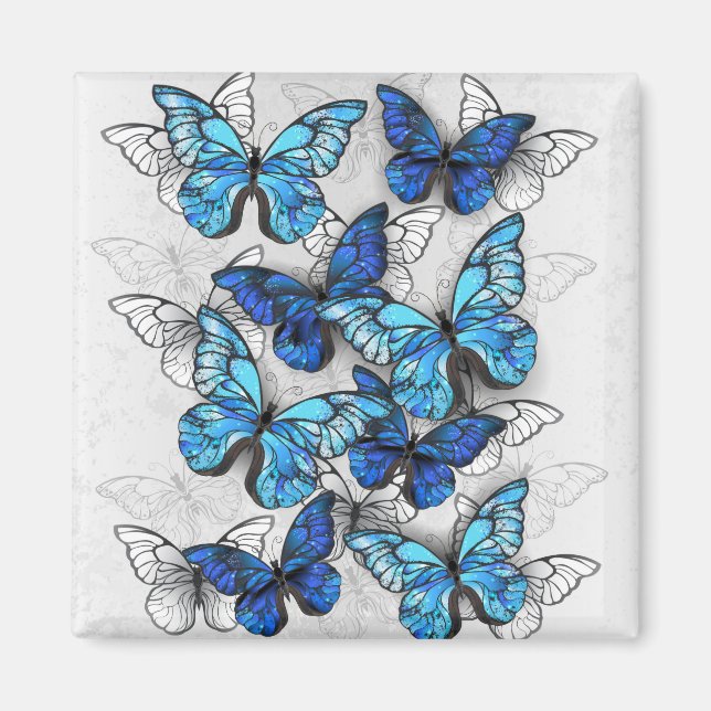 Aimant Composition des White and Blue Butterflies (Devant)