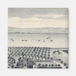 Aimant Comté de Fresno, Californie 20