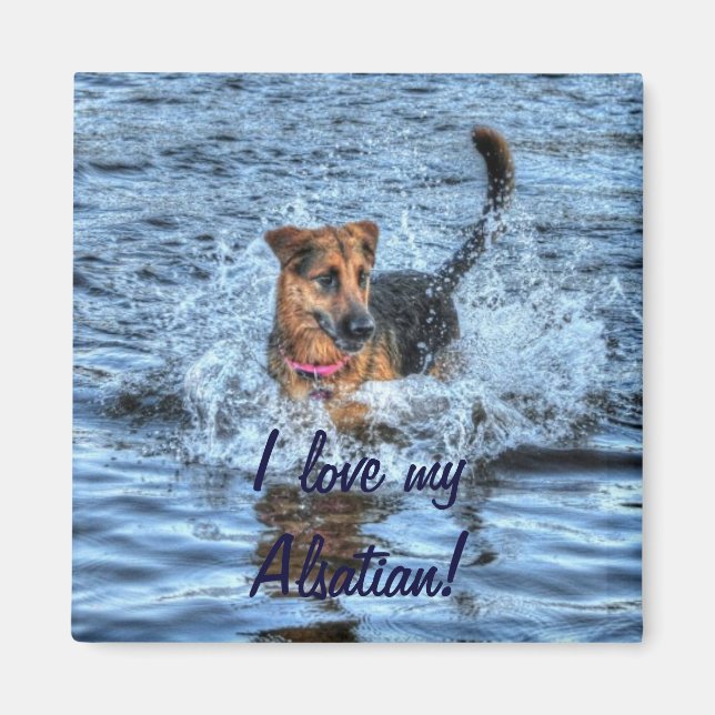 Aimant Conception de chiens pour les amateurs de moules (Devant)