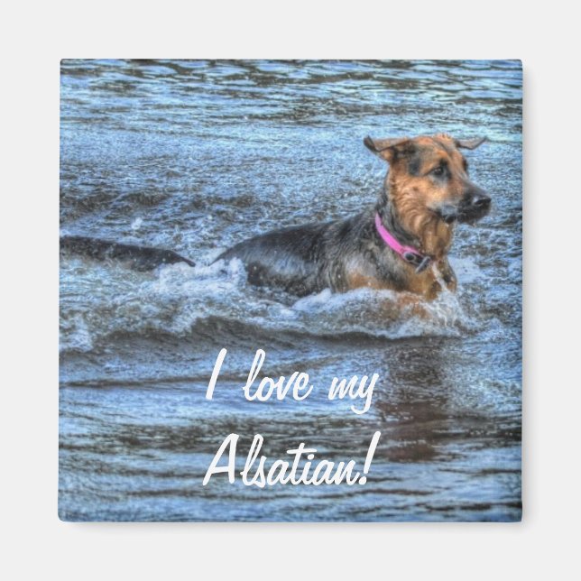 Aimant Conception de chiens pour les amateurs de moules (Devant)