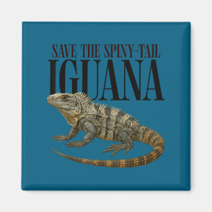 Aimant Conception de reptile d'iguane à queue épineuse à