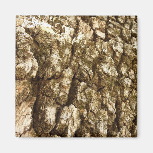 Aimant Conception de texture naturelle de l'écorce d'arbr