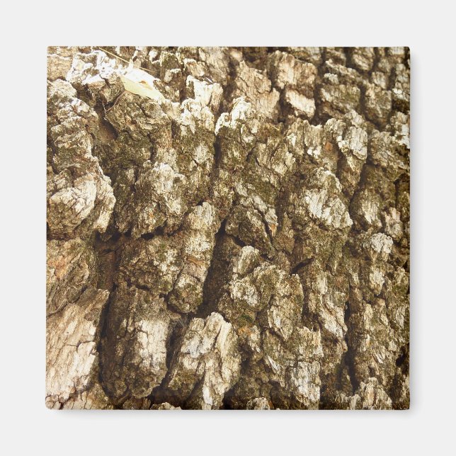 Aimant Conception de texture naturelle de l'écorce d'arbr (Devant)