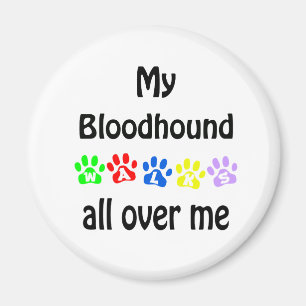 Aimant Conception des marches de Bloodhound