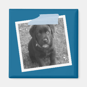 Aimant Conception personnalisée de bandes et de cadres ph