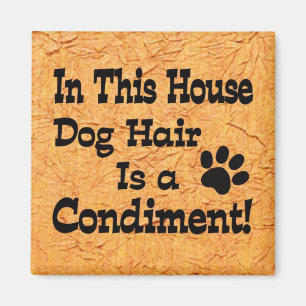 Aimant Condiment de poils de chien