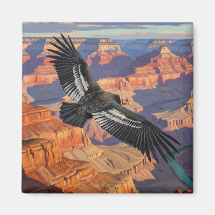 Aimant Condor dans le parc national du Grand Canyon