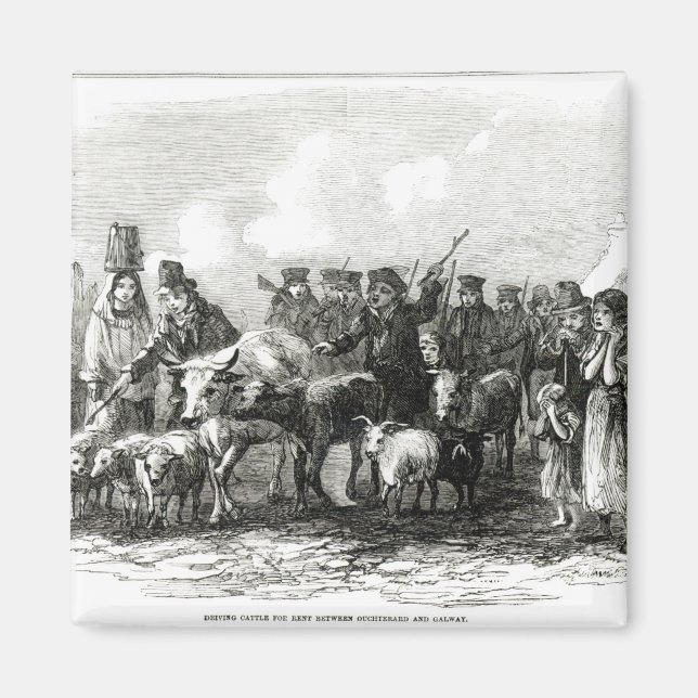 Aimant Conduite de bétail à louer (Devant)