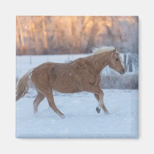 Aimant Conduite de chevaux en hiver au Hideout Ranch