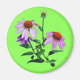Aimant Confleur violet sur vert