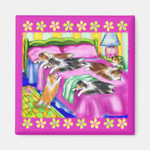 Aimant Confort rose de Sheltie