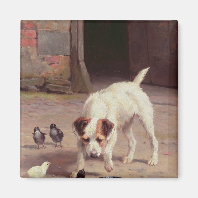 Aimant Confrontation (Devant)