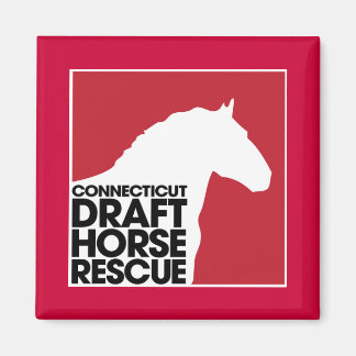 Aimant Connecticut Draft Horse Secourt magnétique