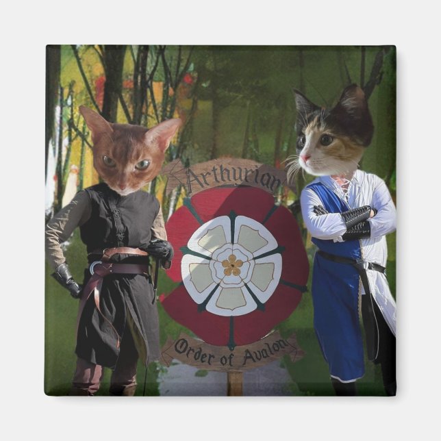 Aimant Connexion française AOA (Devant)