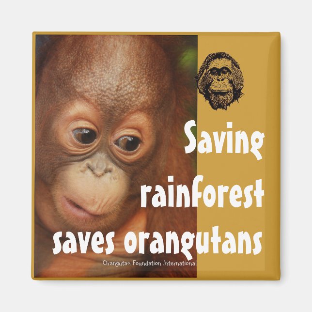 Aimant Conservation (Devant)