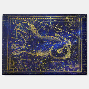 aimant constellation de la baleine
