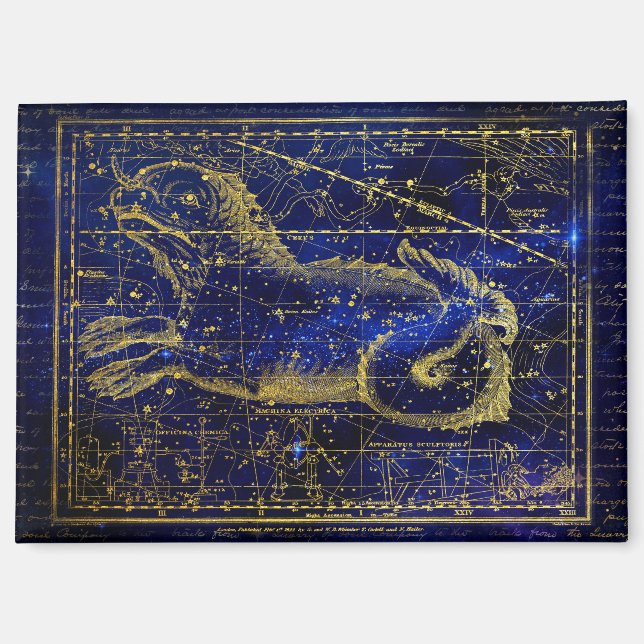 aimant constellation de la baleine (Recto)