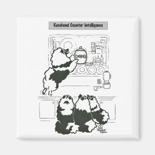 Aimant Contre- intelligence de Keeshond