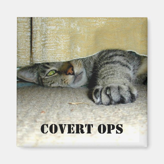 Aimant Convertir des (Devant)