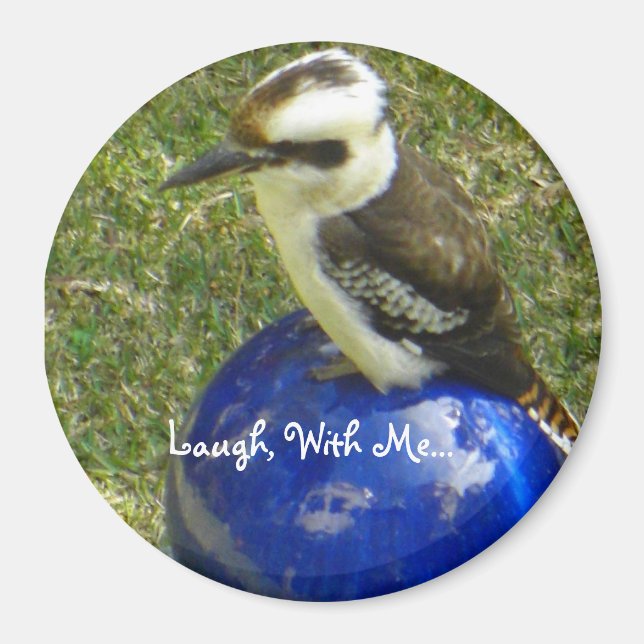 Aimant cookaburra, Rire, Avec Moi... (Devant)