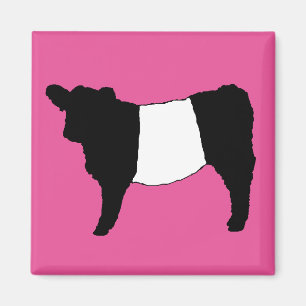 Aimant Cool Belge Galloway Cattle Rare Cow Beltie Steer