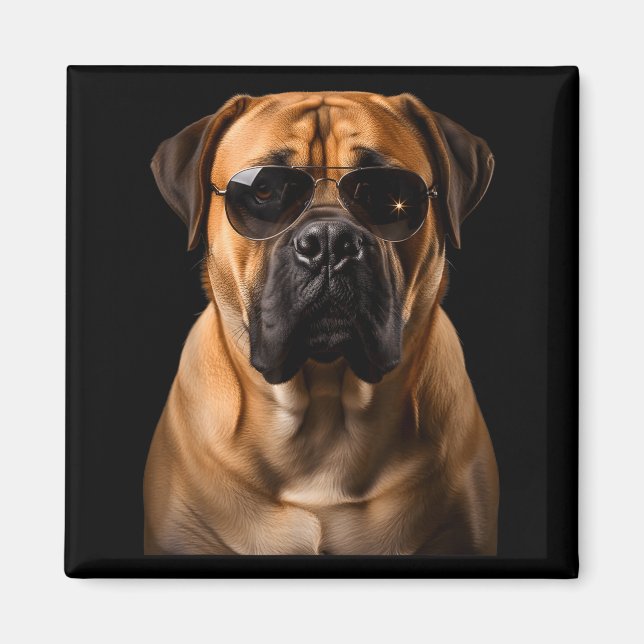 Aimant Cool Dog Sungles Bullmastiff Funny Look  (Devant)