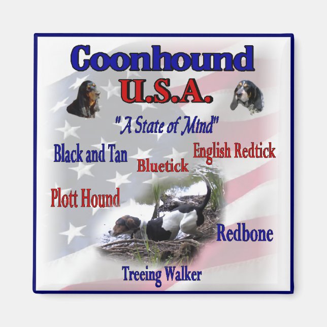 Aimant Coonhound États-Unis cadeaux (Devant)