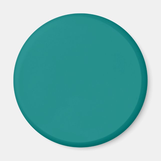 Aimant Coordination turquoise des couleurs de haut niveau (Devant)