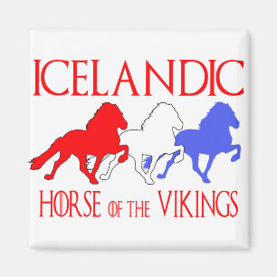 Aimant copie horseofthevikings2019