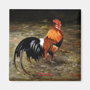 Aimant Coq