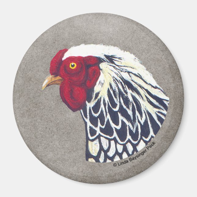 Aimant Coq argenté Laced Wyandotte (Devant)
