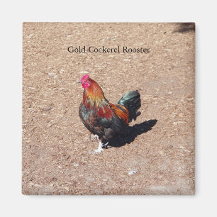 Aimant Coq Cockerel doré
