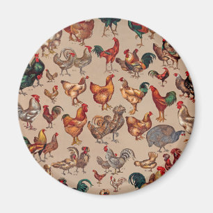 Aimant Coq de basse-cour volaille art vintage country