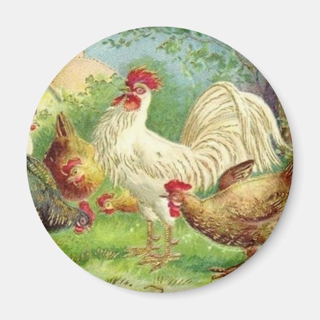 Aimant Coq de pays vintage et poulets (Devant)
