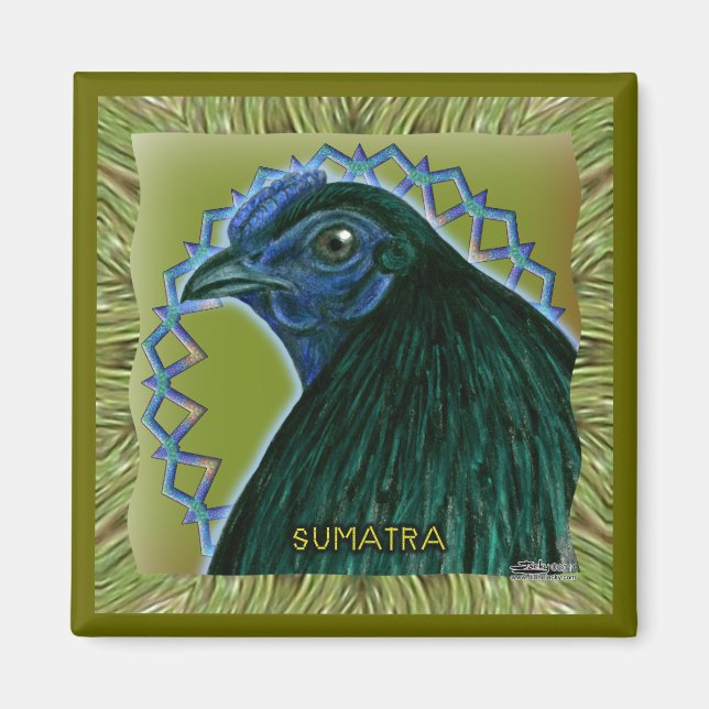Aimant Coq de Sumatra encadré (Devant)