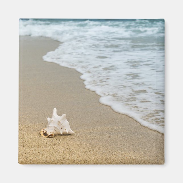 Aimant Coquillage à la plage (Devant)