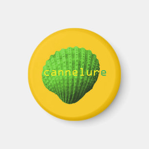 Aimant coquillage cannelure