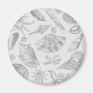 Aimant Coquillage gris sauge doux croquis Antique Nature
