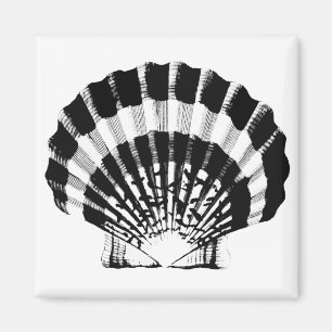 Aimant Coquillage - noir et blanc