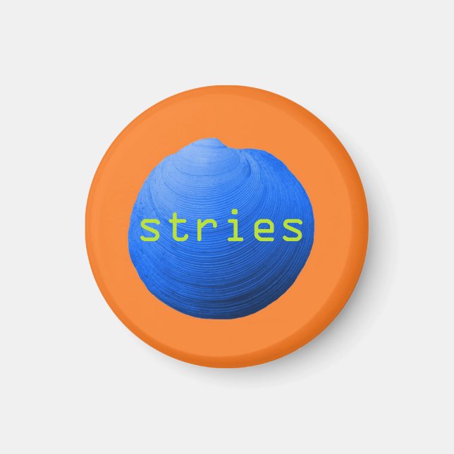 Aimant Coquillage. Stries (Devant)