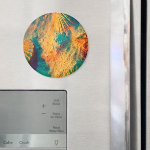 Aimant Coquillages, Coques De Jambes, Coques De Cocktails