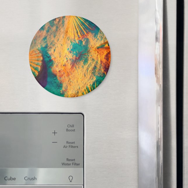 Aimant Coquillages, Coques De Jambes, Coques De Cocktails (In situ (réfrigérateur))